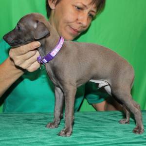 4MXHLc7Nc64_original