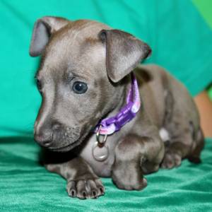 9hiYg2j-Dbg_original