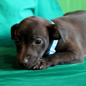 LhCYiqXMAKI_original