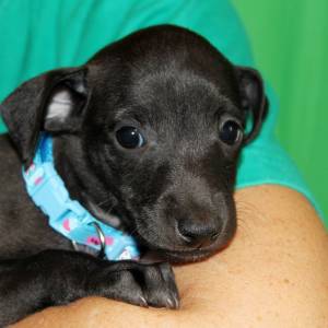 QsbB4vbwVws_original