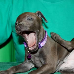 Rxe6y1_w6js_original