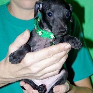 fKG_CzUzm84_original