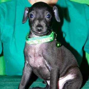 wxfxIRaOwVI_original