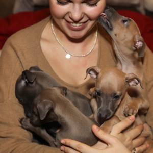 Lpm14ybp4Jk_original