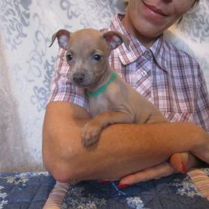 K5qB0VtZ1BQ_original