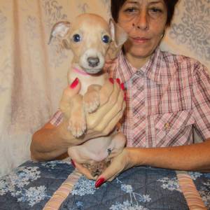 hGvOMWQZu-A_original